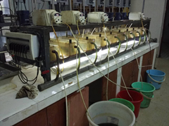 湖南萃取劑HBL110,湖南樹脂HBDM-1,湖南特種交換樹脂HBEV